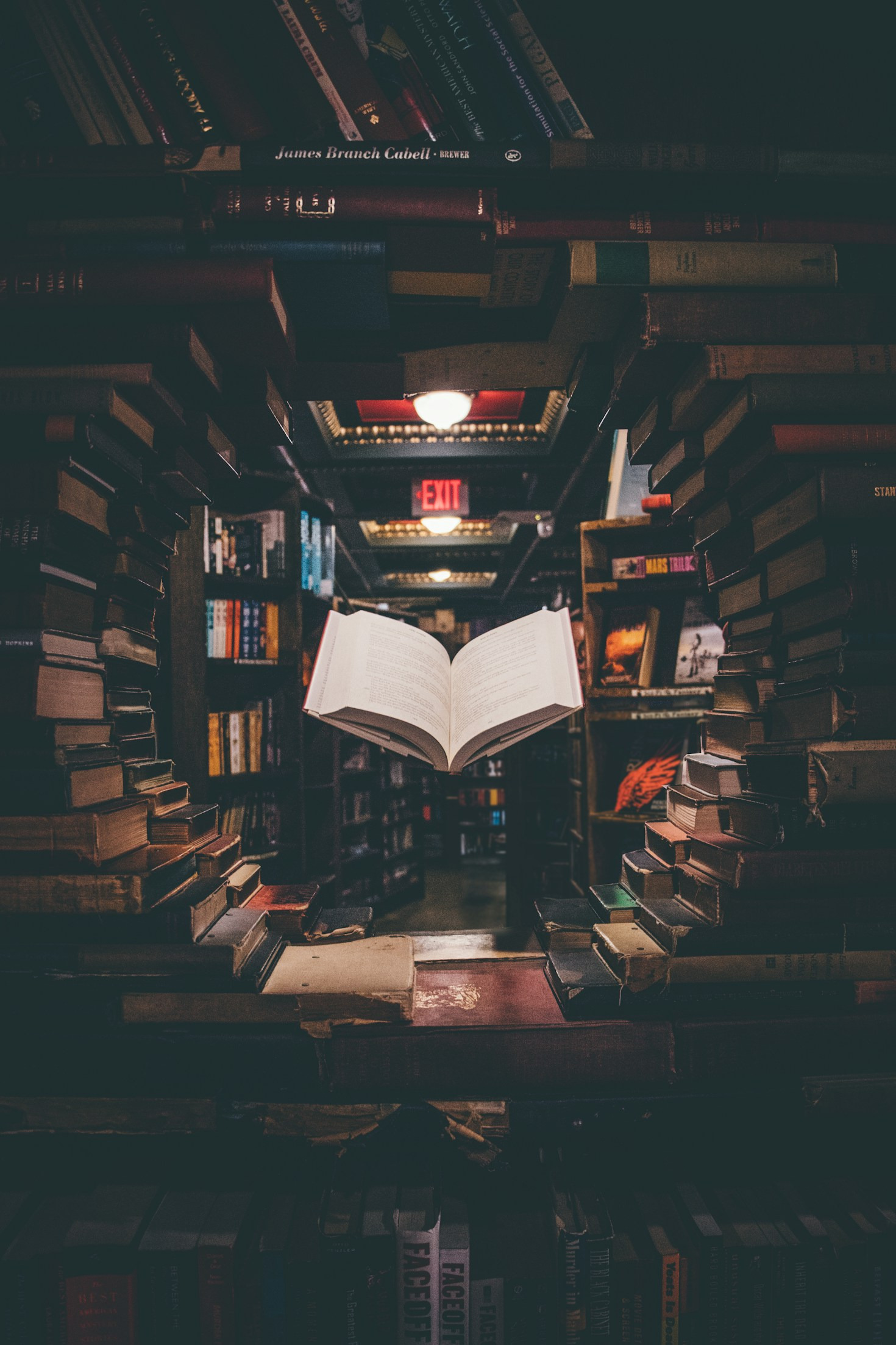Exploring the World Through Integrated Insights
